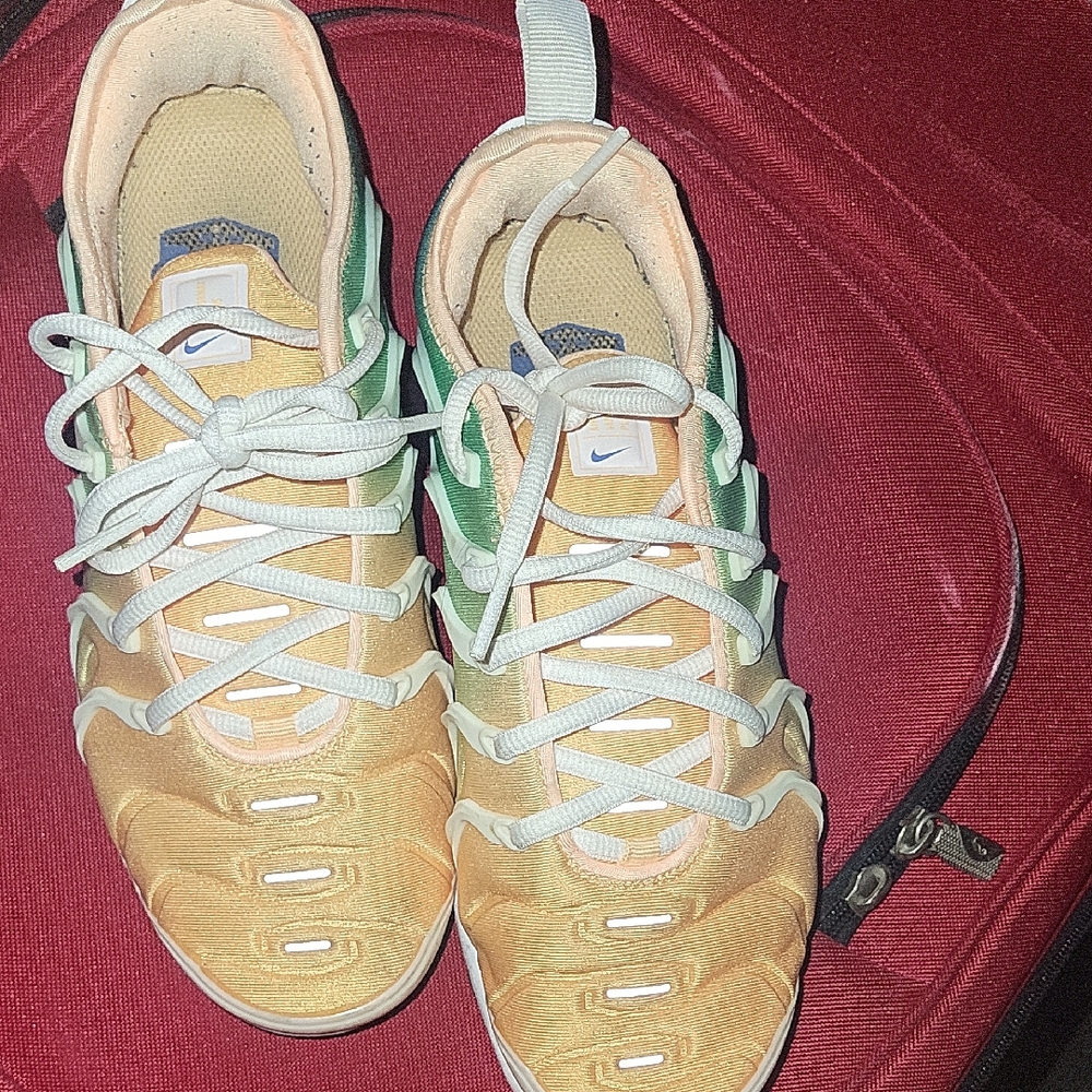 Nike Orange and Green Vapormax Plus